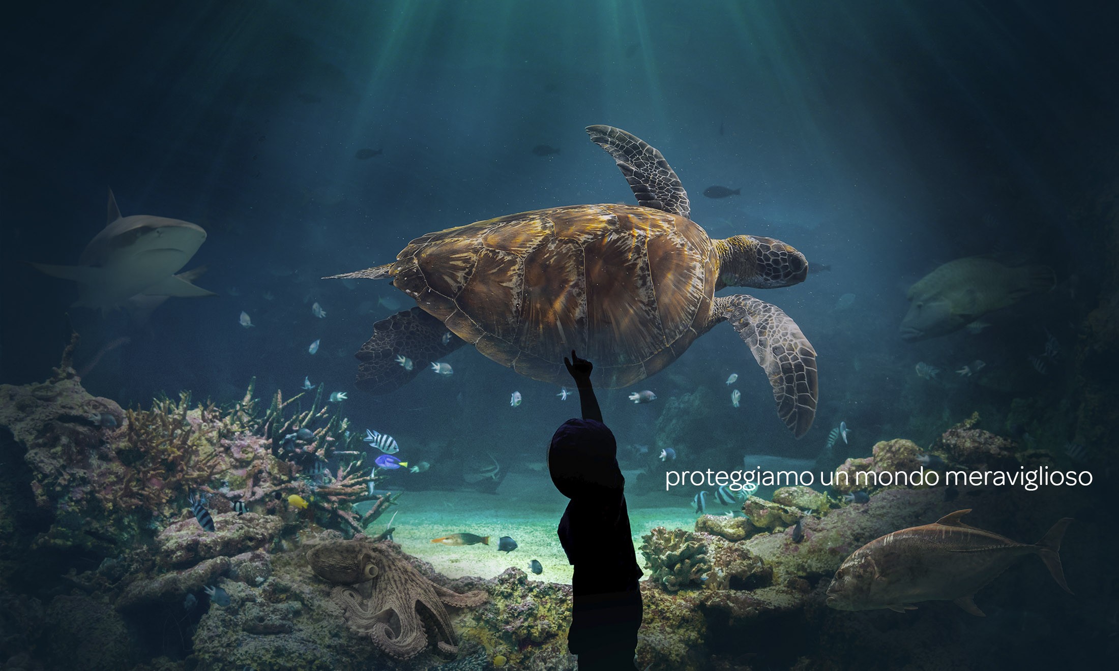 Acquario di Livorno 2026_2027