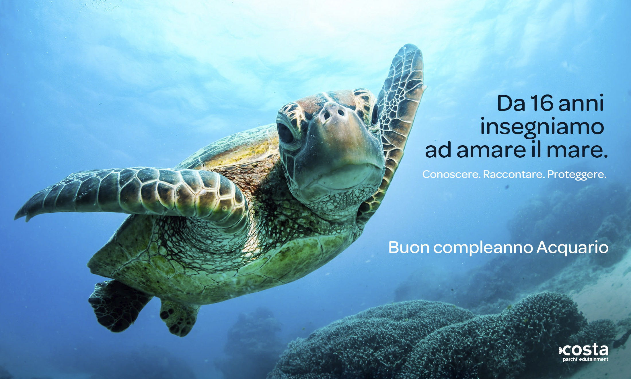 https://www.acquariodilivorno.it/news/l-acquario-di-livorno-spegne-la-16-candelina-ecco-le-iniziativ