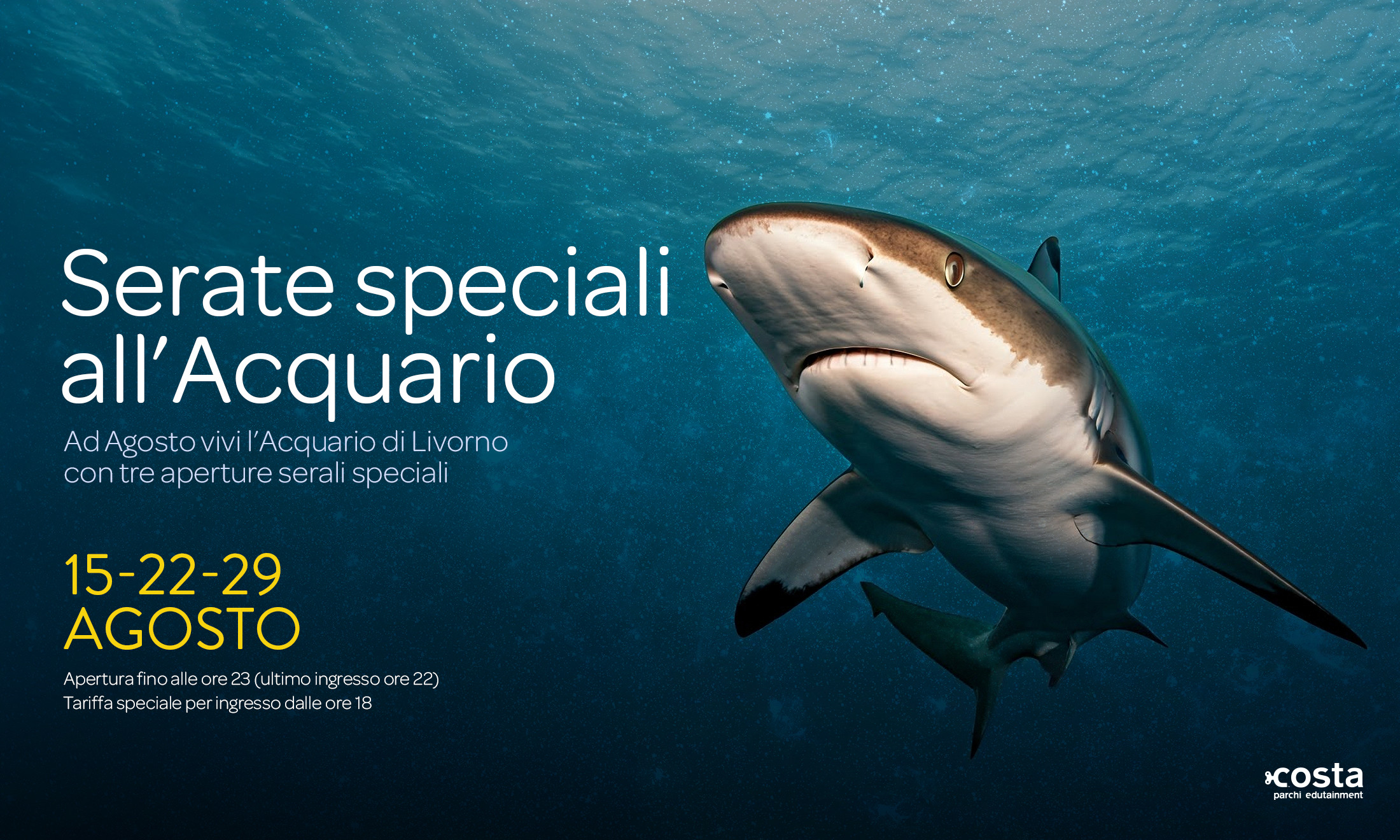 /apertureseraliagosto