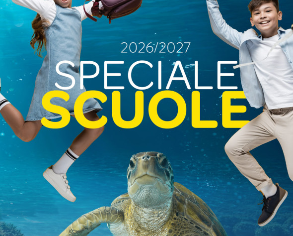 Special School